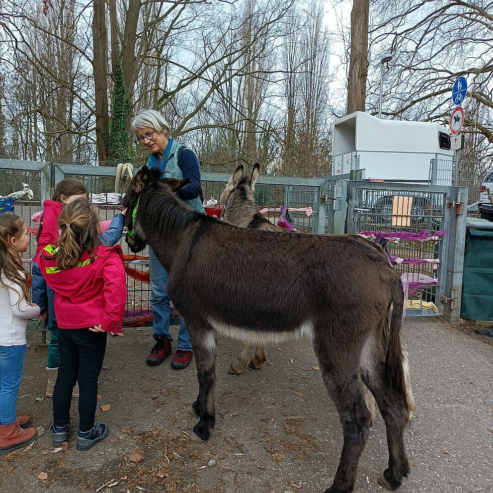 Eselführen war nur eine Aktion von vielen bei dem Projekt. (Foto: Marga Fleischmann)